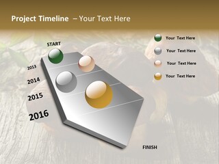 Mushroom Fungus PowerPoint Template