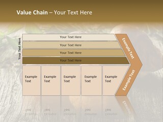 Mushroom Fungus PowerPoint Template