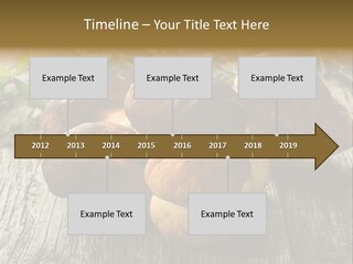 Mushroom Fungus PowerPoint Template