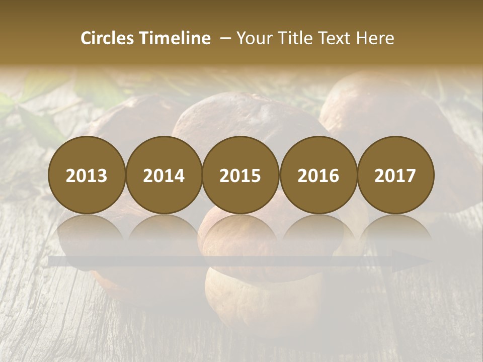 Mushroom Fungus PowerPoint Template