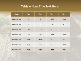Mushroom Fungus PowerPoint Template