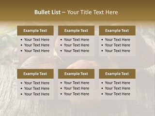 Mushroom Fungus PowerPoint Template