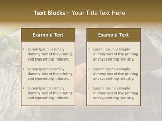 Mushroom Fungus PowerPoint Template