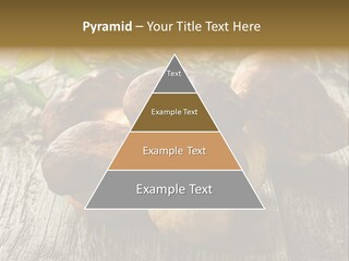 Mushroom Fungus PowerPoint Template