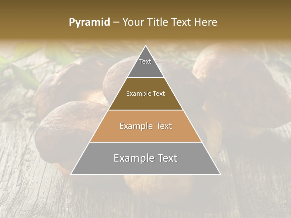 Mushroom Fungus PowerPoint Template
