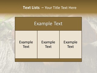Mushroom Fungus PowerPoint Template
