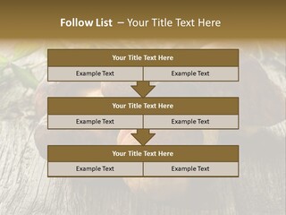 Mushroom Fungus PowerPoint Template