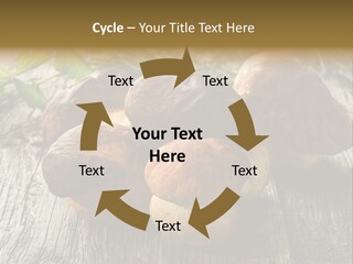 Mushroom Fungus PowerPoint Template