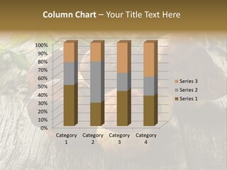 Mushroom Fungus PowerPoint Template