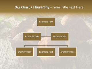 Mushroom Fungus PowerPoint Template