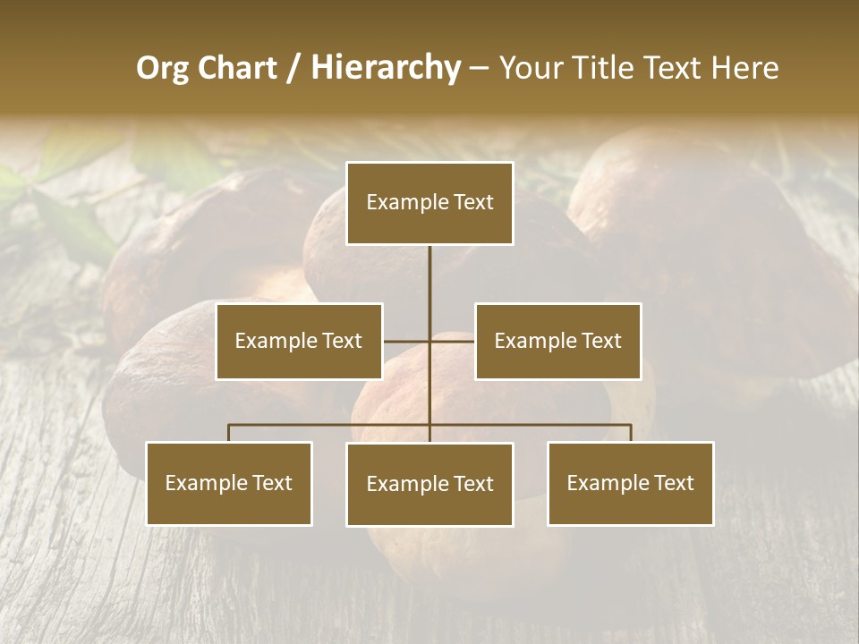 Mushroom Fungus PowerPoint Template