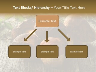 Mushroom Fungus PowerPoint Template