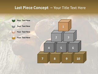 Mushroom Fungus PowerPoint Template