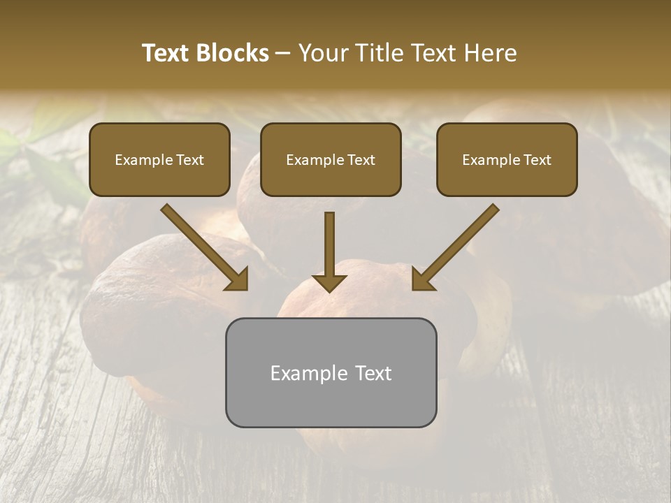 Mushroom Fungus PowerPoint Template