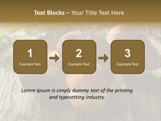 Mushroom Fungus PowerPoint Template