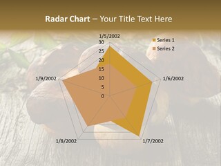 Mushroom Fungus PowerPoint Template