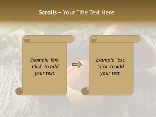 Mushroom Fungus PowerPoint Template