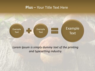 Mushroom Fungus PowerPoint Template