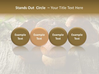 Mushroom Fungus PowerPoint Template