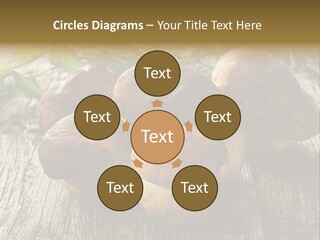 Mushroom Fungus PowerPoint Template