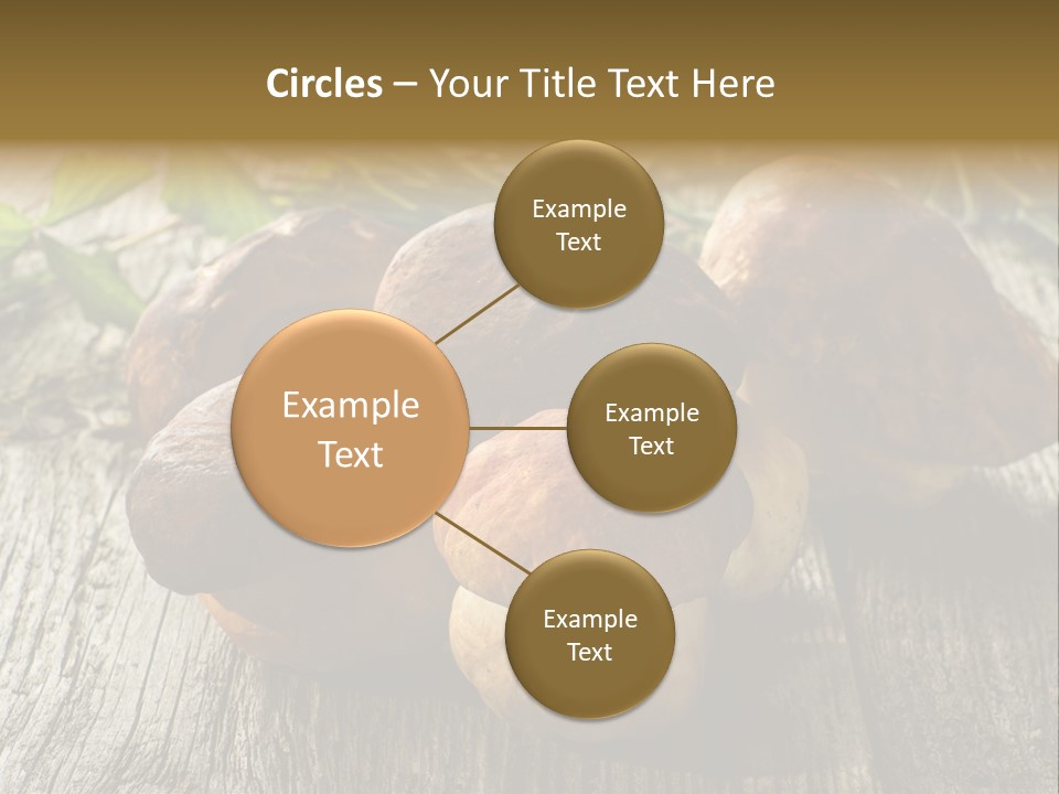 Mushroom Fungus PowerPoint Template