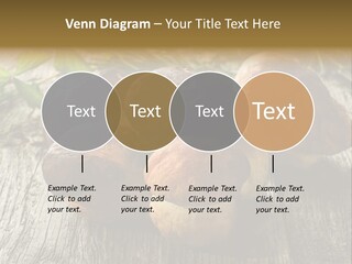 Mushroom Fungus PowerPoint Template