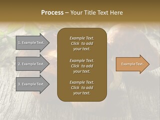 Mushroom Fungus PowerPoint Template