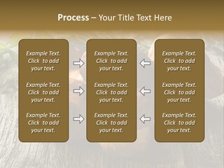 Mushroom Fungus PowerPoint Template