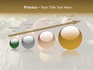 Mushroom Fungus PowerPoint Template