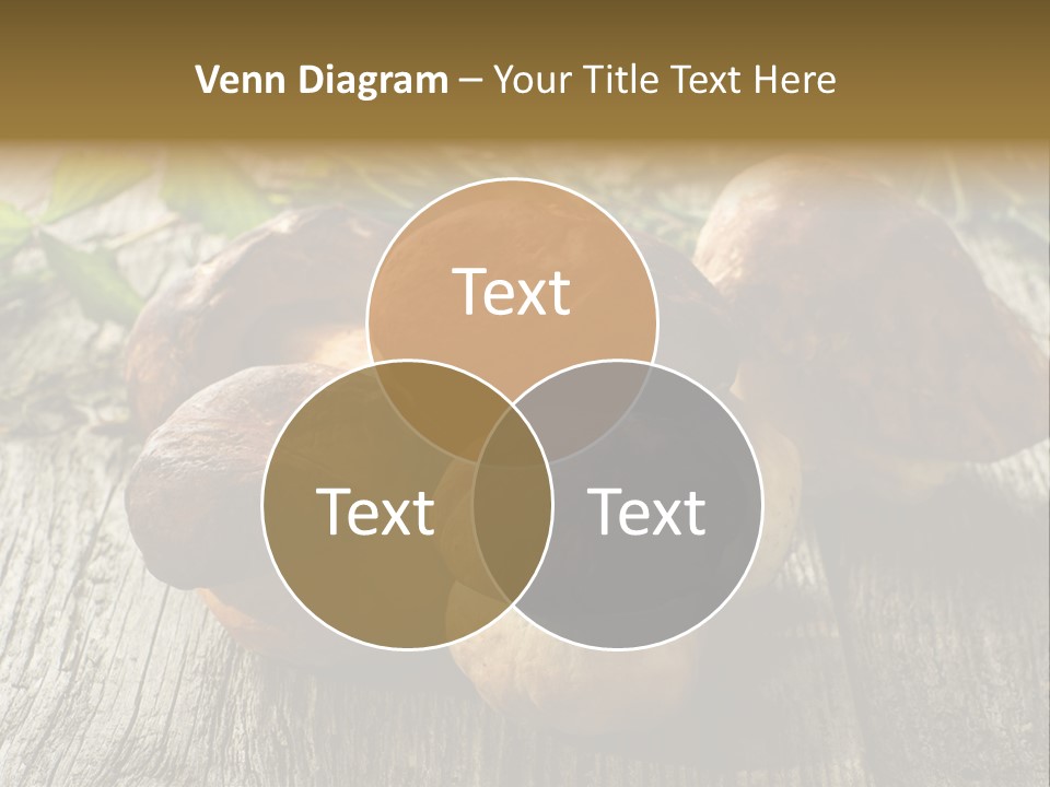 Mushroom Fungus PowerPoint Template