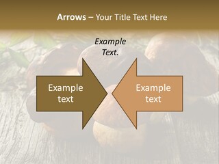 Mushroom Fungus PowerPoint Template