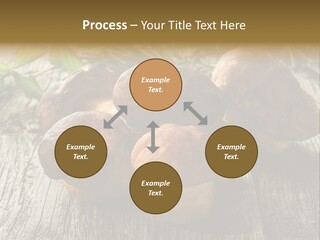 Mushroom Fungus PowerPoint Template