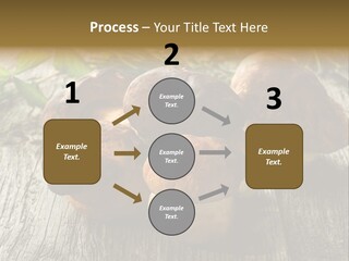 Mushroom Fungus PowerPoint Template