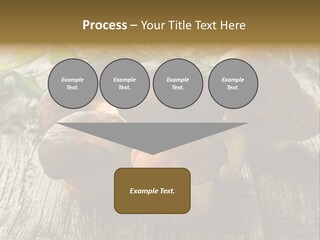 Mushroom Fungus PowerPoint Template