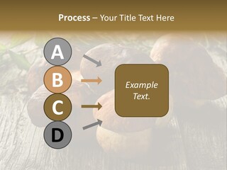 Mushroom Fungus PowerPoint Template