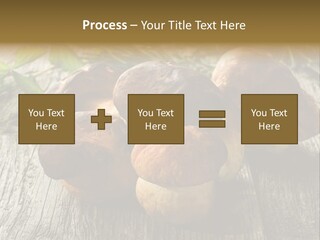 Mushroom Fungus PowerPoint Template