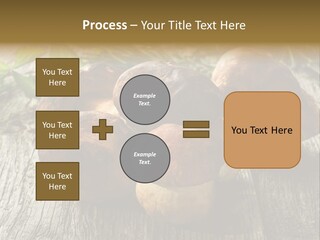 Mushroom Fungus PowerPoint Template