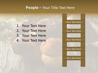 Mushroom Fungus PowerPoint Template