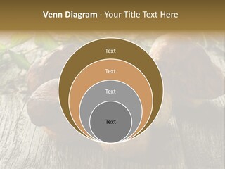Mushroom Fungus PowerPoint Template