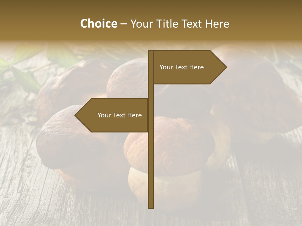 Mushroom Fungus PowerPoint Template