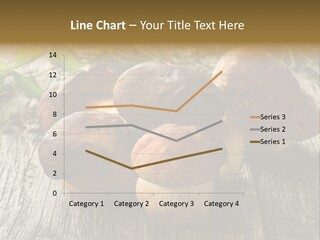 Mushroom Fungus PowerPoint Template