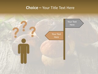 Mushroom Fungus PowerPoint Template