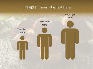 Mushroom Fungus PowerPoint Template