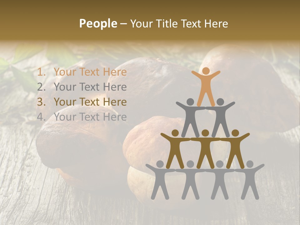 Mushroom Fungus PowerPoint Template