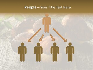 Mushroom Fungus PowerPoint Template