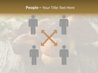 Mushroom Fungus PowerPoint Template