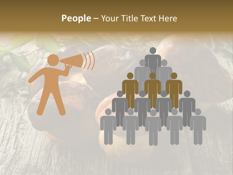 Mushroom Fungus PowerPoint Template