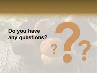 Mushroom Fungus PowerPoint Template