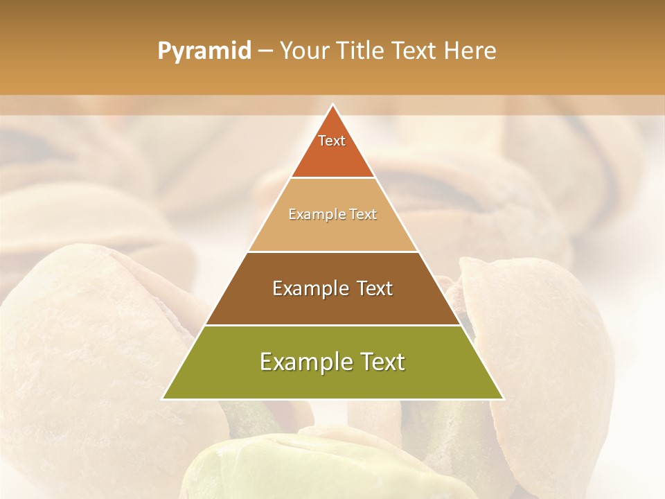 Vector Pistachio PowerPoint Template