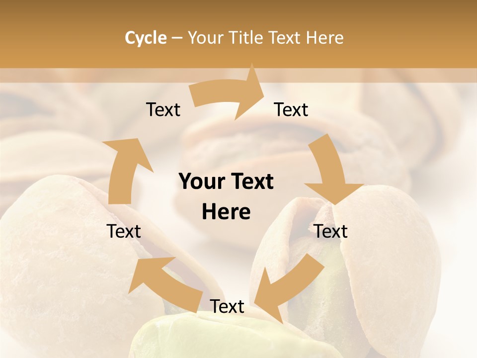 Vector Pistachio PowerPoint Template
